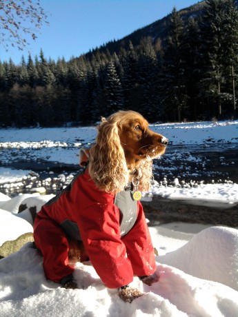 vřele doporučuji - není třeba odmrazovat nabalený sníh
